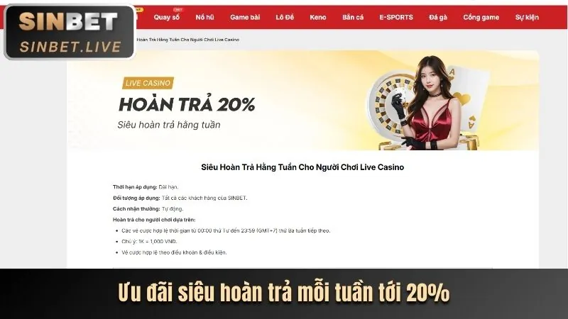 Các Sự Kiện và Khuyến Mãi Nổi Bật